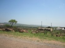 "Maisemaa matkalla lähelle Swasimaan rajaa, Namaachaan."